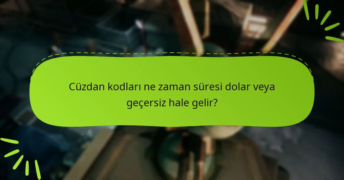 Cüzdan kodum çalışmıyorsa ne yapmalıyım?