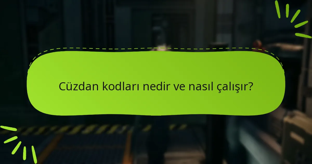 Cüzdan kodları nedir ve nasıl çalışır?